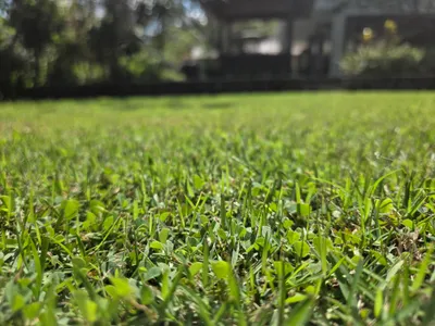 20260603_110452