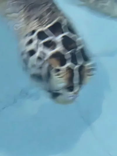 20260606_174808