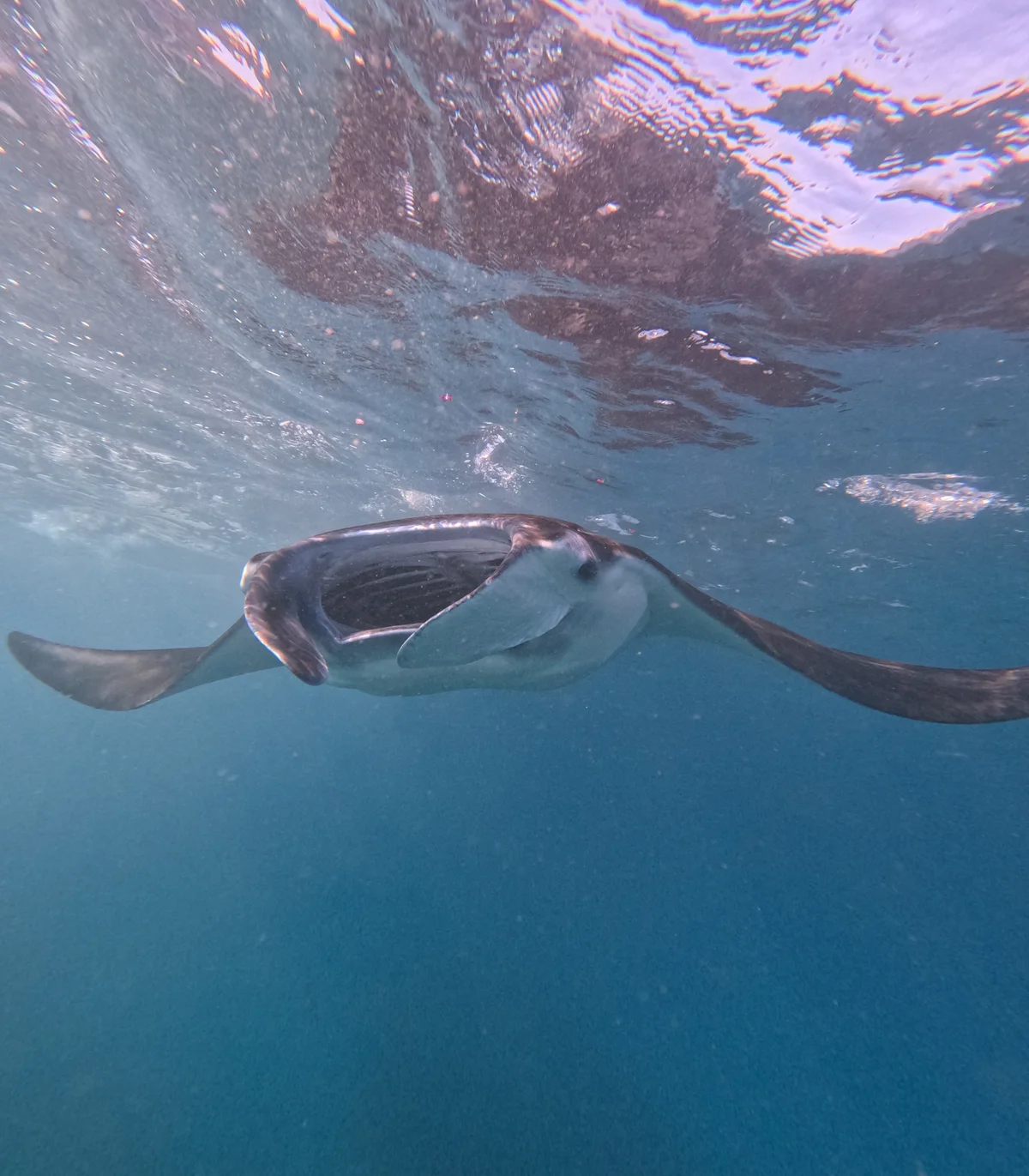Nusa Penida