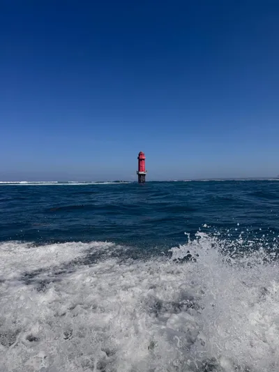 IMG-20260607-WA0191